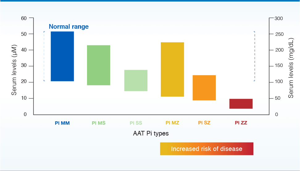 Chart showing range of serum AAT levels by phenotype